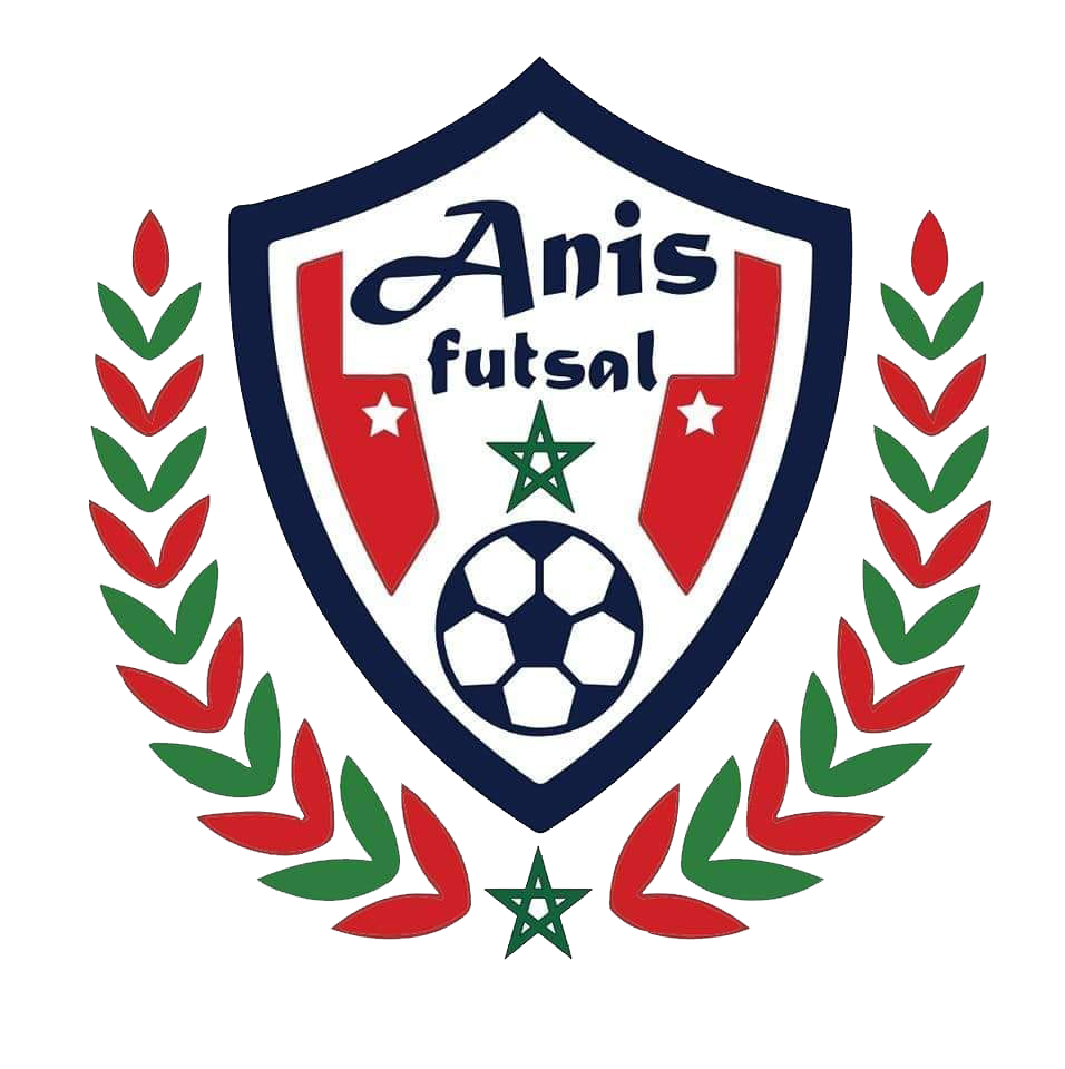 AN Ben M'Sik (ANIS) Logo